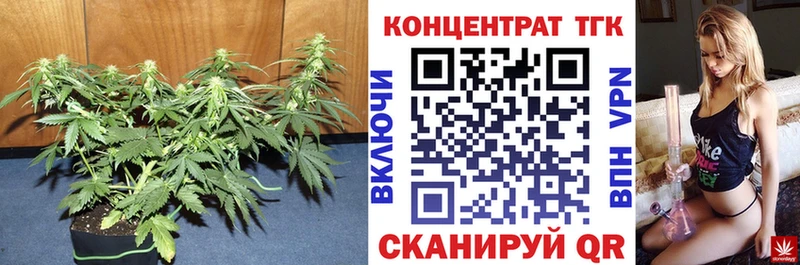 ТГК THC oil  Купить закладки  Беслан 
