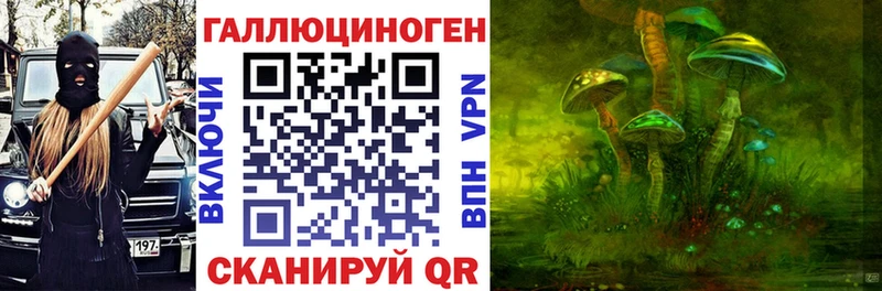 Псилоцибиновые грибы Psilocybine cubensis  Купить где  Беслан 